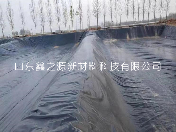 養(yǎng)殖土工膜可有效隔絕水資源實現現代化養(yǎng)殖